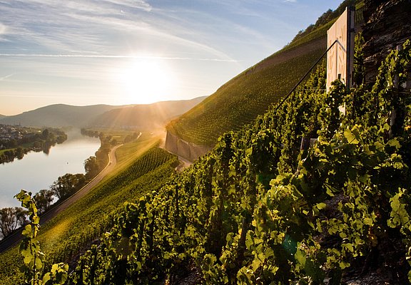 Weinlage Brauneberger Juffer