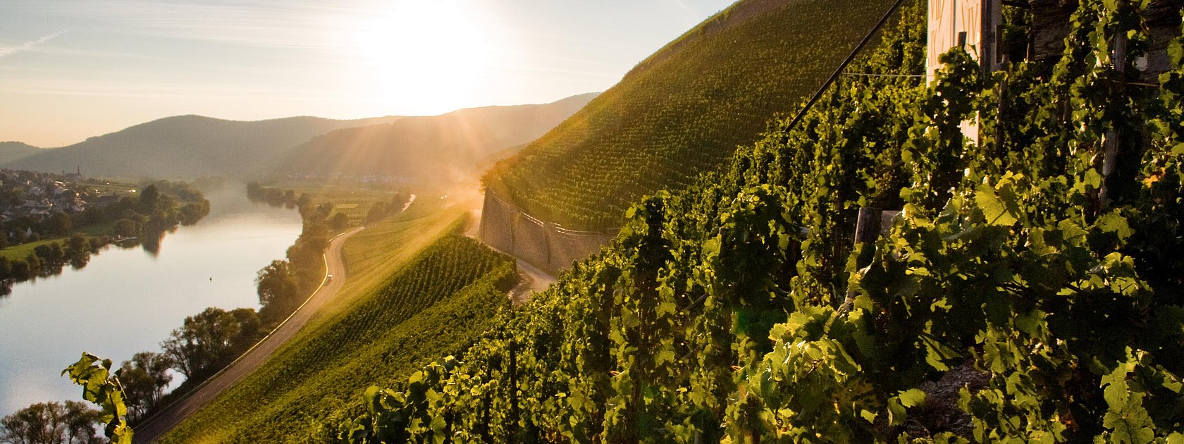 Weinlage Brauneberger Juffer