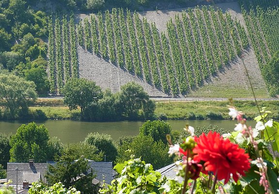Herzweinberg