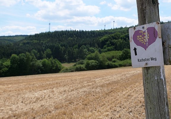 Wegweiser Kasholzer Weg
