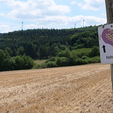Wegweiser Kasholzer Weg