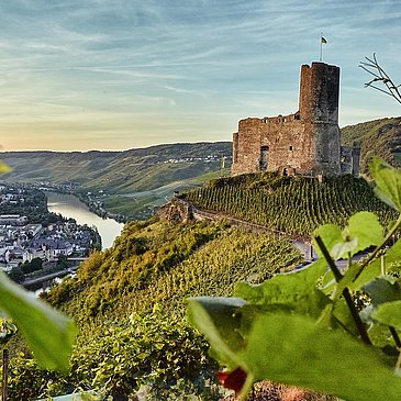 Burg Landshut