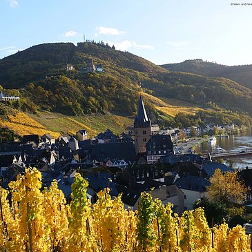Landschaft_Weinberg_Mosel_Herbst_Burg_Brücke_Bernk