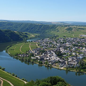 Ausblick auf Piesport