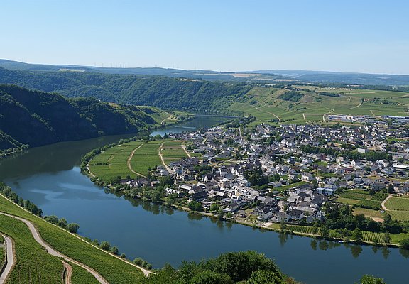 Ausblick auf Piesport