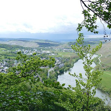 Blick vom Moselsteig auf Andel