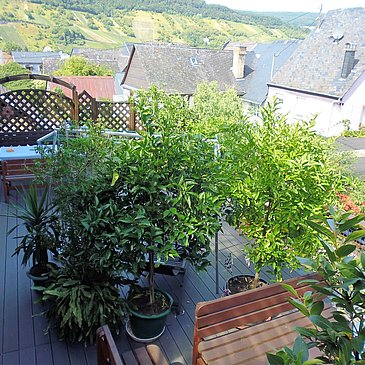 Gästehaus Christa Schneider Terrasse