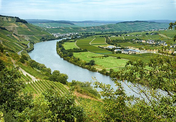 Minheim