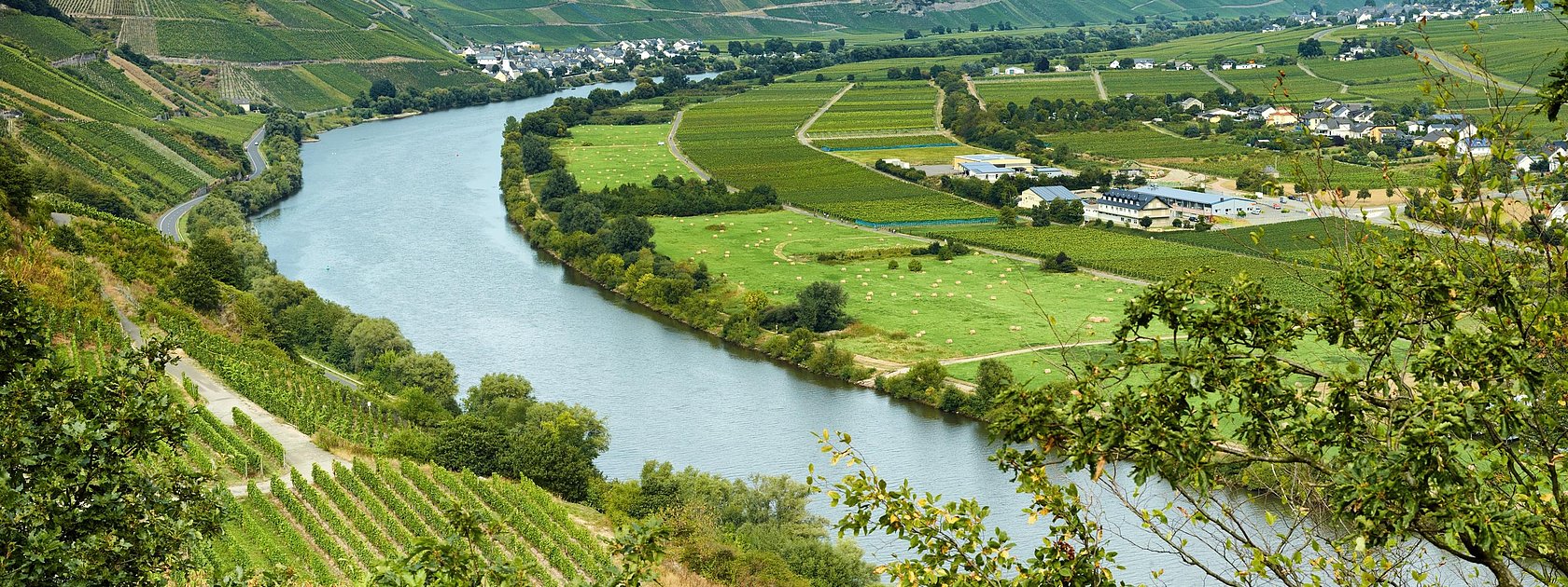 Minheim