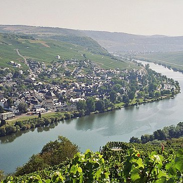 Landschaft