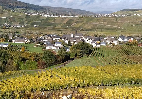 Brauneberg