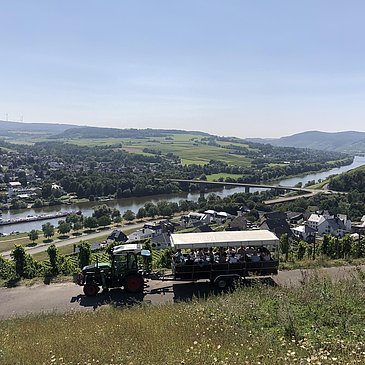 covered wagon tour - a rolling wine tasting