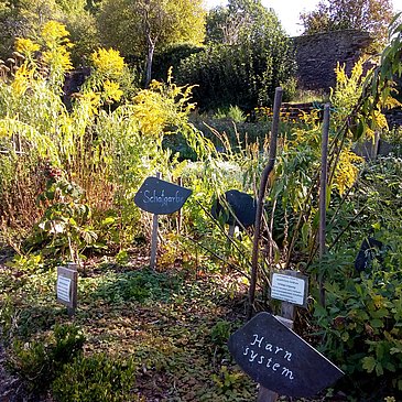 Kräutergarten Klausen