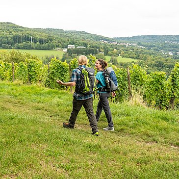 Wandern auf dem Moselsteig bei Perl