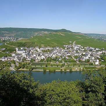 Minheim an der Mosel