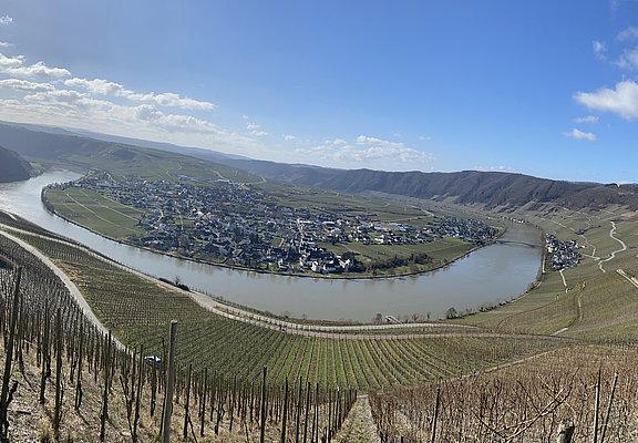 Bild 1.1