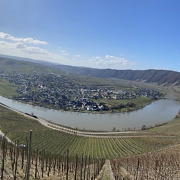 Bild 1.1