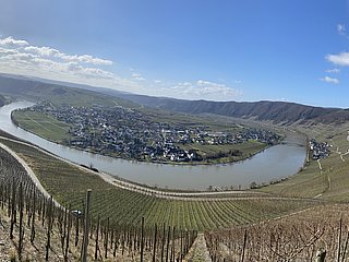 Bild 1.1