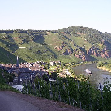 Panorama 4