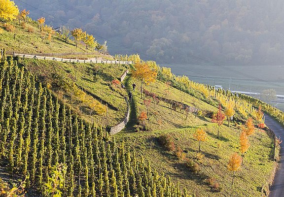 Sortengarten im Herbst