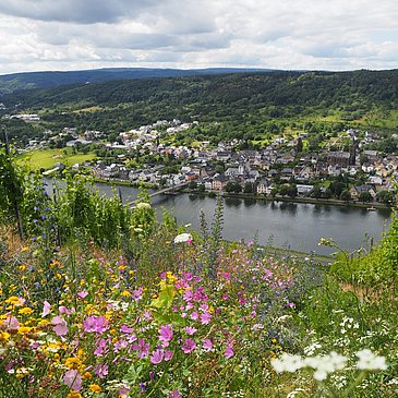 Radfahren inmitten der Weinberge mit Blick auf die Mosel