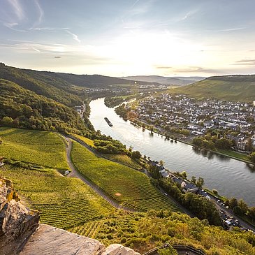 Aussicht von der Burg Landshut auf die Mosel