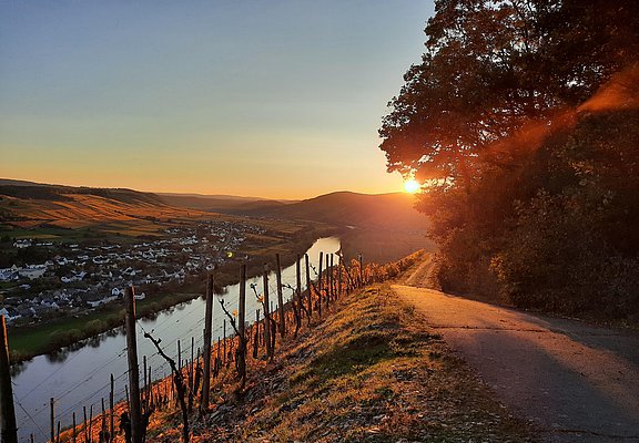 Herbststimmung