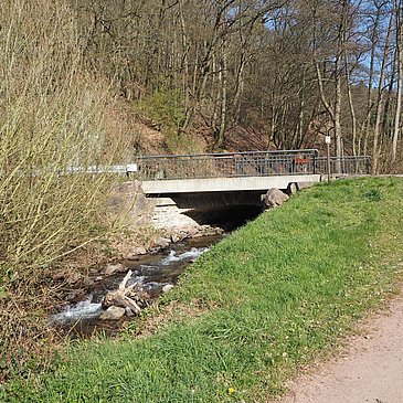 Brücke über den Frohnbach