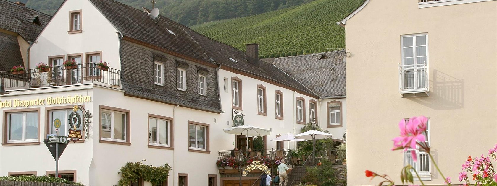 Weingut Hain