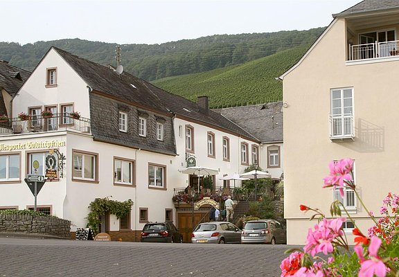 Weingut Hain