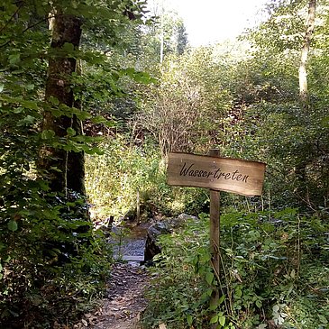 Wassertreten am Rastplatz im Hinterbachtal