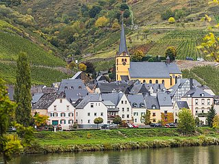 Ortsansicht Zeltingen