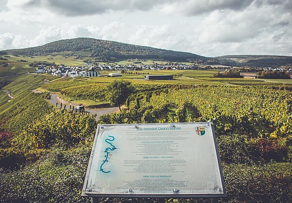 Weinberge in Osann-Monzel