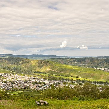 Ausblick auf Leiwen