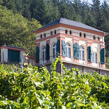 Außenansicht des Elisenhäuschens in den Weinbergen