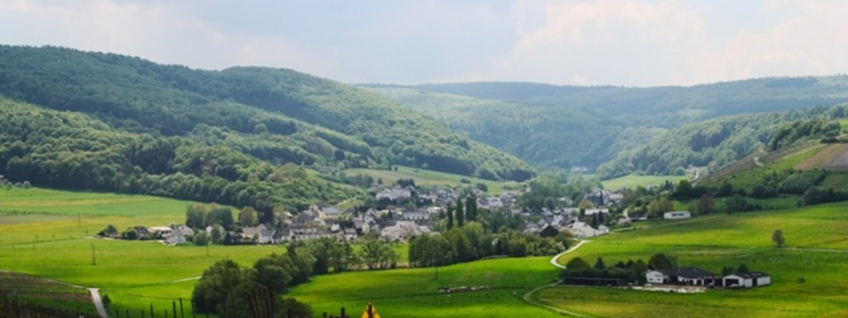 Burgen an der Mittelmosel