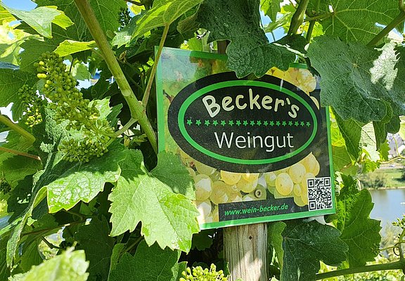 Weinbergsschild