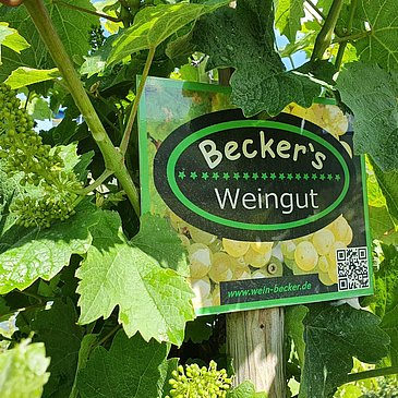Weinbergsschild