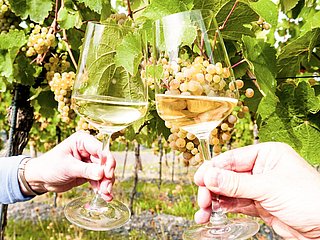 Genuss im Weinberg