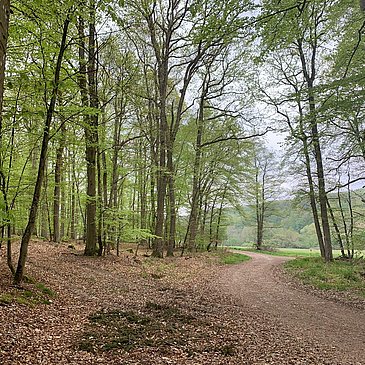 Wegbeschilderung entlang des Weges