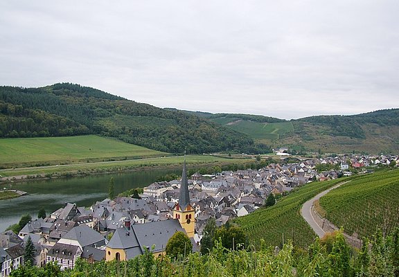 Zeltingen-Rachtig