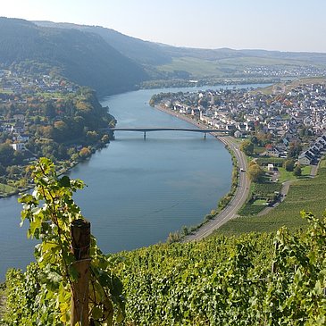 Blick auf Mehring
