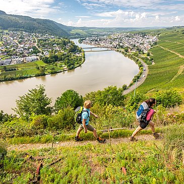 Wanderung auf dem Moselsteig von Schweich nach Mehring