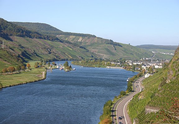 Wintrich