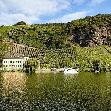 Blick auf das Weingut Geierslay