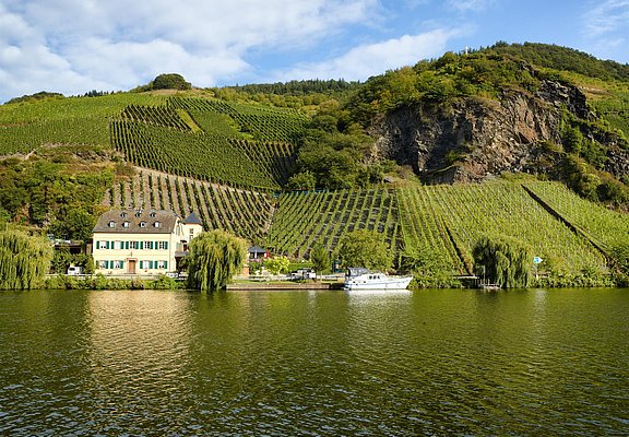 Blick auf das Weingut Geierslay