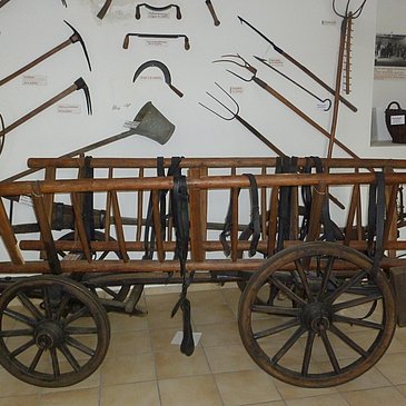 Museum_3