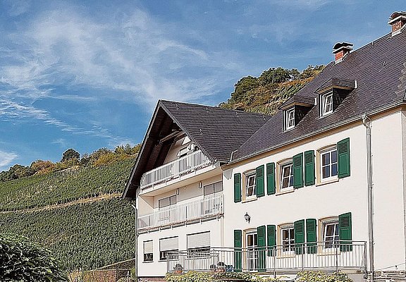 Haus Weingut Botzet