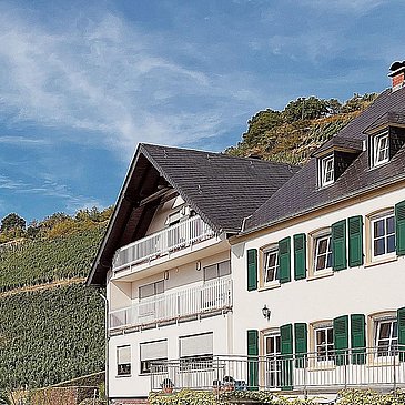 Haus Weingut Botzet