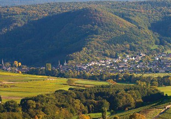 Blick auf Veldenz